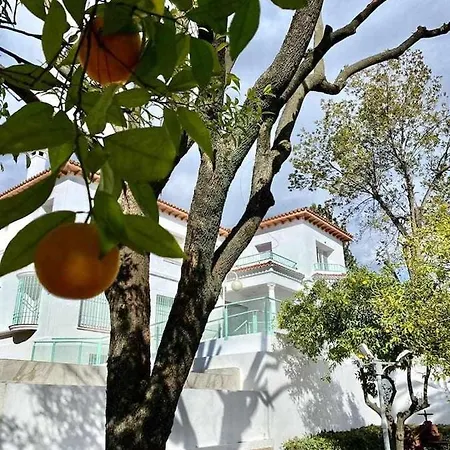 Apartment Nuevo Los Almendros 102 Complejo Turistico